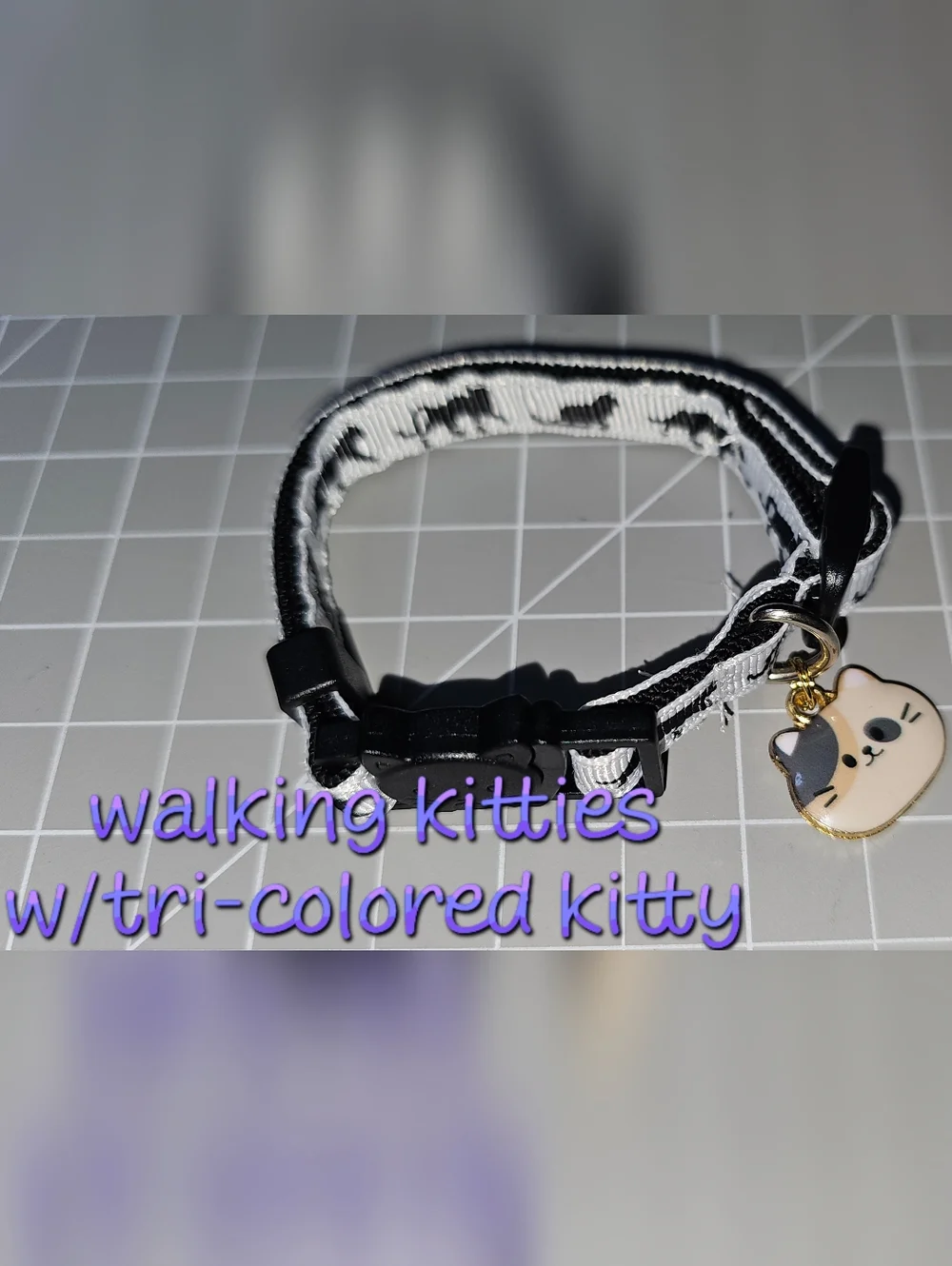 Kitty Themed Cat Collars